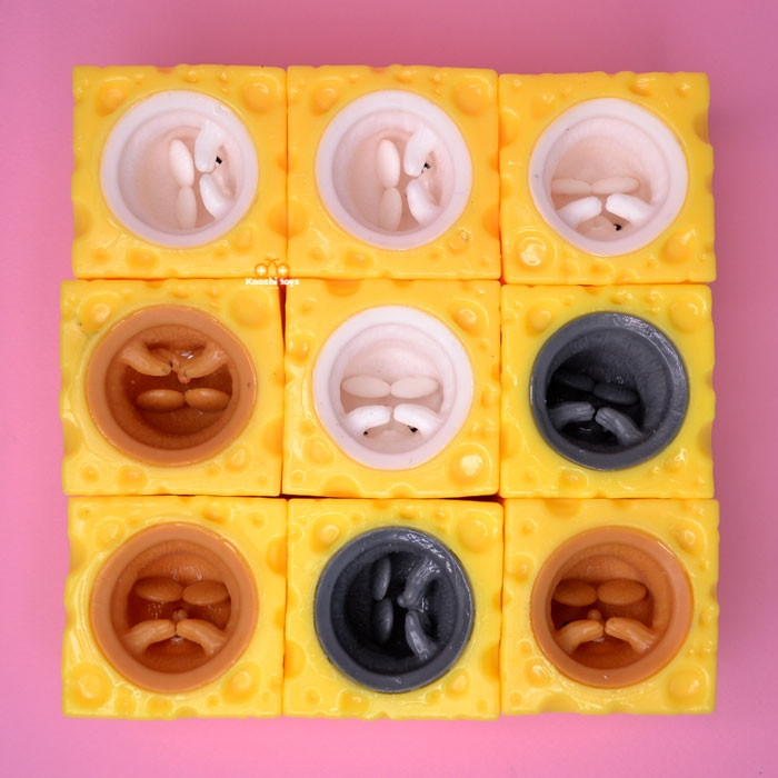 فیجت موش و پنیر