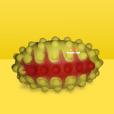 پاپیت بال راگبی